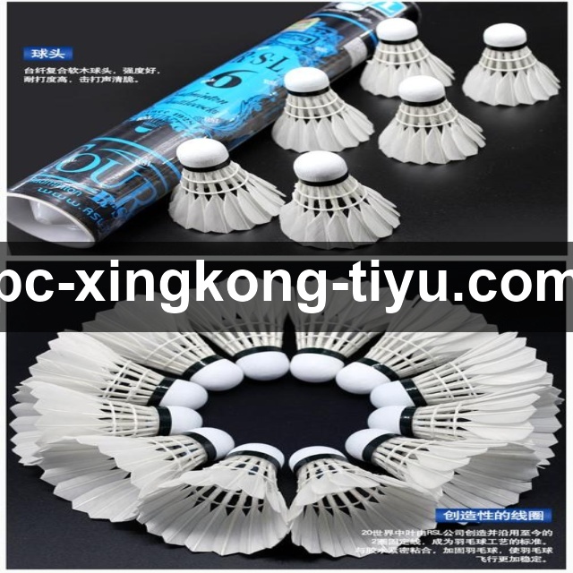 曼联 CEO 贝拉达力挺新球场计划：政府支持是区域复兴的关键引擎