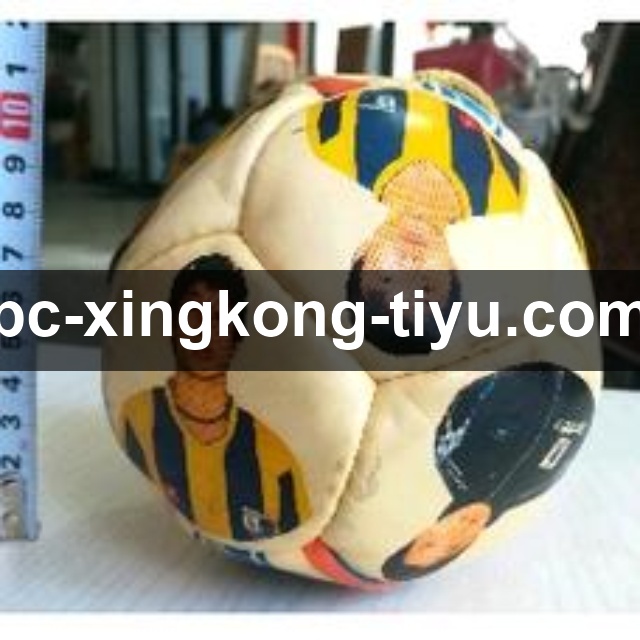 行业领先的理由